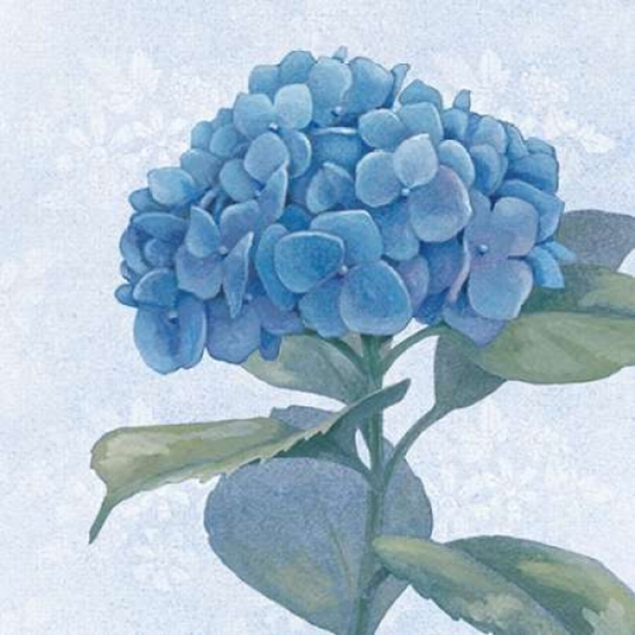 Blue Hydrangea IV Poster Print by Beth Grove - Item # VARPDX21477